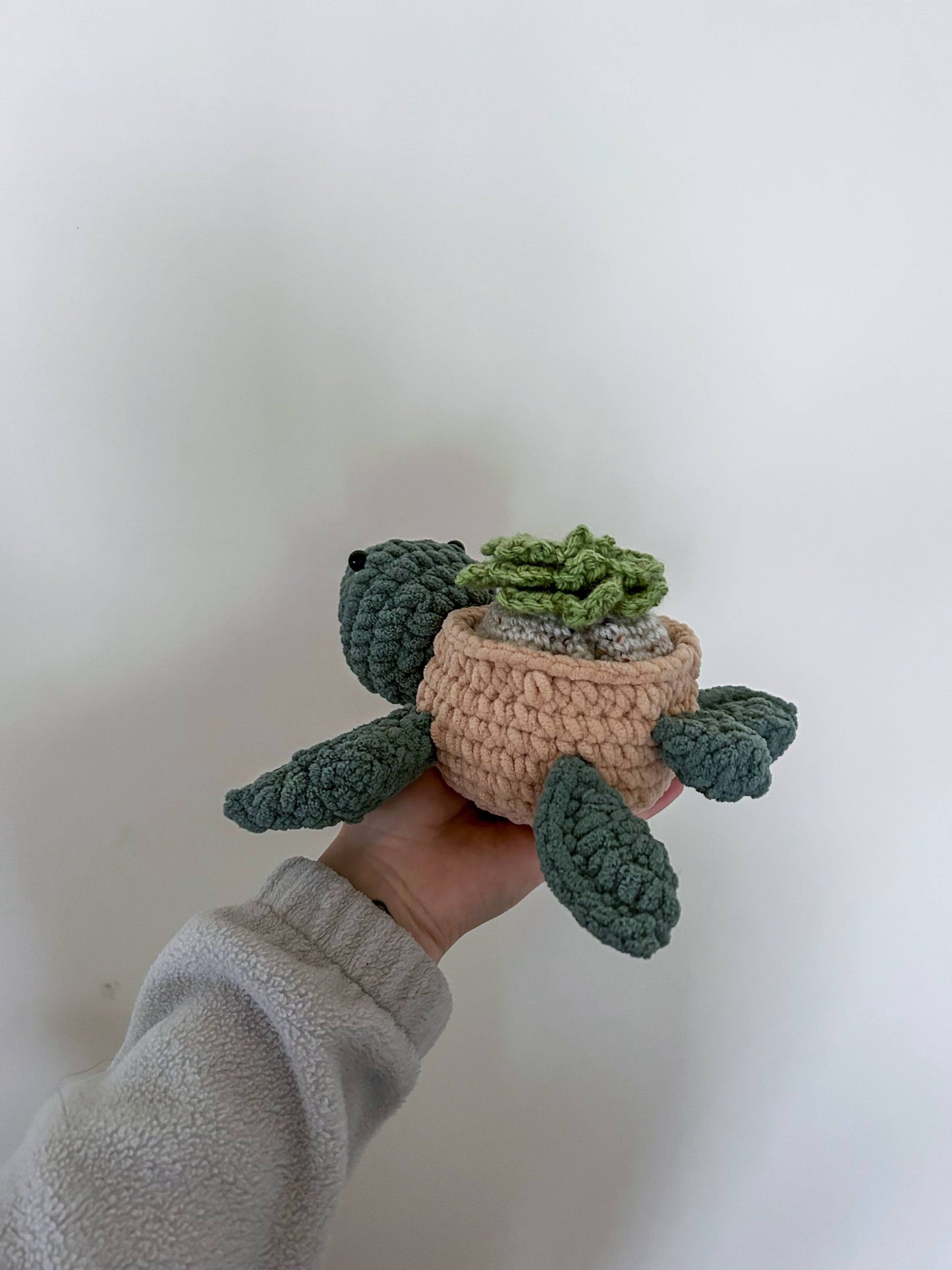 Succulent Turtle 🌿✨